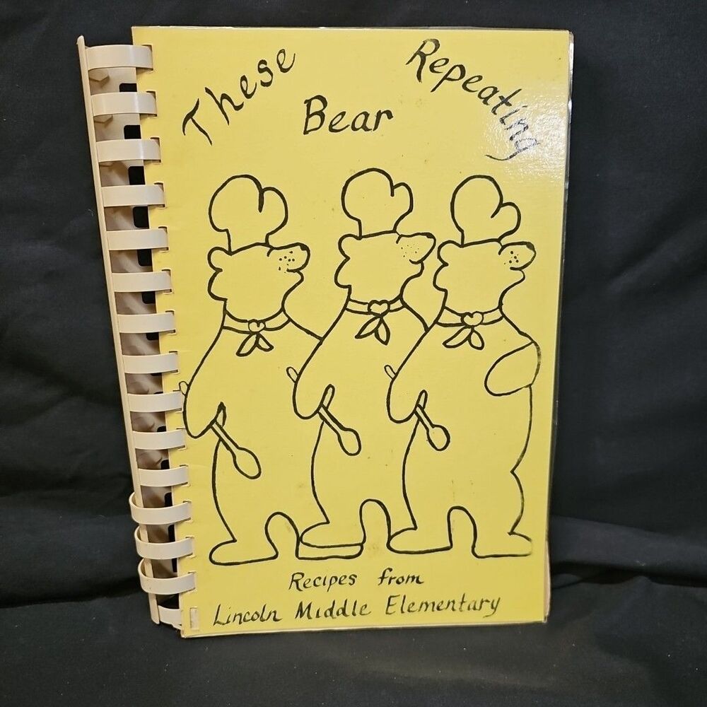 Ypsilanti Michigan vintage Lincoln Middle Elementary School These Bear Repeating